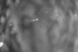 Kamera: Ufo-Ski Ufo-Ski Bukowina Tatrzańska Ufo-Ski Ufo-Ski