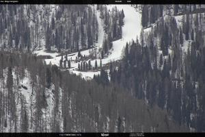 San Martino di Castrozza - Passo Rolle San Martino di Castrozza - Passo Rolle Ces - Malga Valcigolera