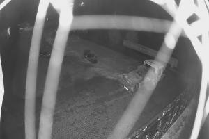 Kamera: Zagroń Kamera online Istebna Zagroń Kamera online