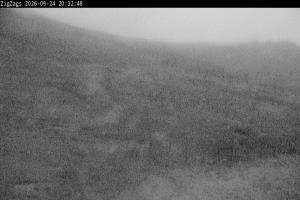 Kamera: Cairgorm Zigzags Webcam Cairgorm Cairgorm Zigzags Webcam