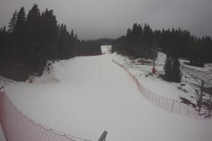 Kamera: Tylicz Ski Widok na stok Tylicz Tylicz Ski Widok na stok