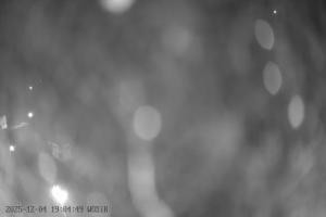 Kamera: Szelment WOSiR Wyciąg Szelment Szelment WOSiR Wyciąg