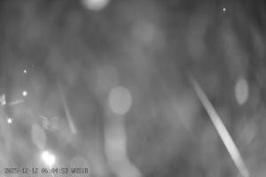 Kamera: Szelment WOSiR Wyciąg Szelment Szelment WOSiR Wyciąg