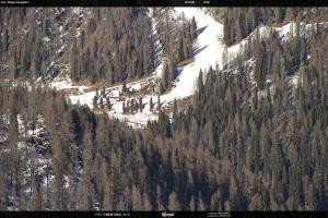 Kamera: San Martino di Castrozza - Passo Rolle Ces - Malga Valcigolera San Martino di Castrozza - Passo Rolle San Martino di Castrozza - Passo Rolle Ces - Malga Valcigolera