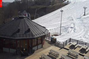 Mladé Buky Mladé Buky Kamera Mladé Buky, 600 m n.p.m.