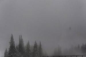 Jasna Jasna - Chopok Kosodrevina - 1.488 m n.m.