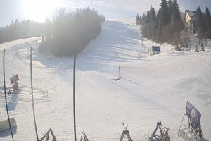 Ustrzyki Dolne Gromadzyń Dolna Stacja