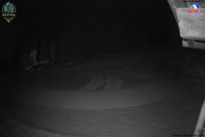 Grosser Arber Grosser Arber Blick Thurnhofhang