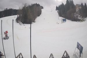 Ustrzyki Dolne Gromadzyń Dolna Stacja