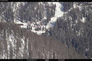 San Martino di Castrozza - Passo Rolle San Martino di Castrozza - Passo Rolle Ces - Malga Valcigolera