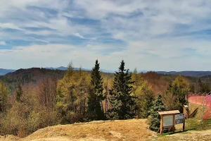 Krynica Jaworzyna Krynicka Widok na szczyt Jaworzyny (1114 m n.p.m)