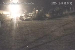 Kamera: Nartraj Kamera na stoku Roztocze Nartraj Kamera na stoku