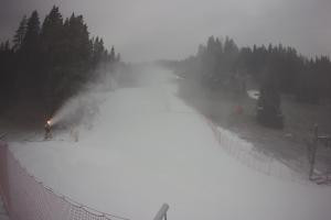 Kamera: Tylicz Ski Widok na stok Tylicz Tylicz Ski Widok na stok