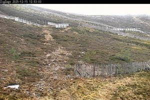 Kamera: Cairgorm Zigzags Webcam Cairgorm Cairgorm Zigzags Webcam