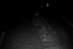 Kamera: Kompleks Wyciągów Narciarskich Górnik Stok przy wyciągach nr 1 i 2 Walim - Rzeczka Kompleks Wyciągów Narciarskich Górnik Stok przy wyciągach nr 1 i 2