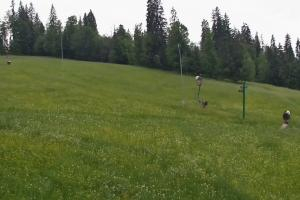 Kamera: Ski Suche U Jędrola Stacja dolna Poronin Ski Suche U Jędrola Stacja dolna