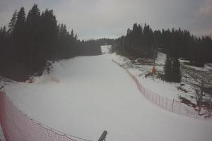 Kamera: Tylicz Ski Widok na stok Tylicz Tylicz Ski Widok na stok