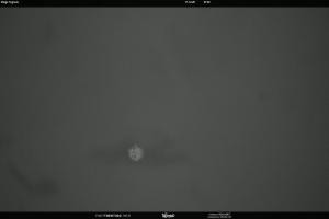 San Martino di Castrozza - Passo Rolle San Martino di Castrozza - Passo Rolle Malga Tognola