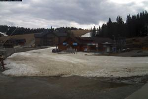 Kamera: Orava Snow Kamera1 Orava Orava Snow Kamera1