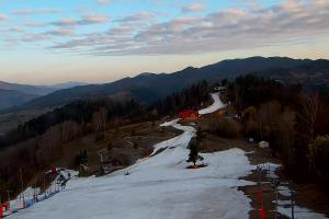 Szczawnica Palenica Szafranówka