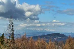 Krynica Jaworzyna Krynicka Widok na szczyt Jaworzyny (1114 m n.p.m)