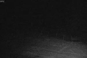 Szklarska Poręba Szrenica Ski Arena Widok na stok