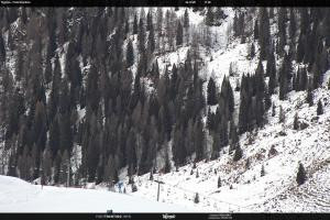 S. Martino di Castrozza / Passo Rolle S. Martino di Castrozza / Passo Rolle Tognola - Pista Scandola