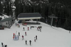 Zverovka Tatrawest s.r.o. Livecam