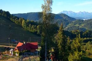 Szczawnica Palenica Widok na stok