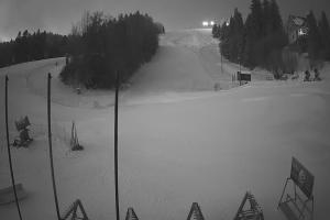 Ustrzyki Dolne Gromadzyń Dolna Stacja