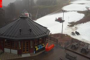 Kamera: Mladé Buky Kamera Mladé Buky, 600 m n.p.m. Mladé Buky Mladé Buky Kamera Mladé Buky, 600 m n.p.m.