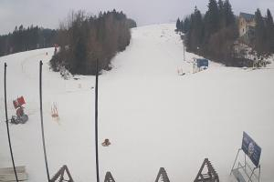 Ustrzyki Dolne Gromadzyń Dolna Stacja