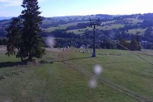 Kamera: Witów Ski Widok z dołu Zakopane Witów Ski Widok z dołu