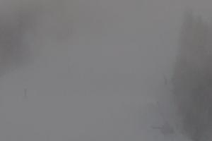 Kamera: Jasna - Chopok Priehyba II. - 1.342 m n. m. Jasna Jasna - Chopok Priehyba II. - 1.342 m n. m.