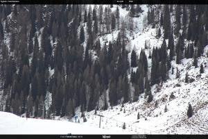 S. Martino di Castrozza / Passo Rolle S. Martino di Castrozza / Passo Rolle Tognola - Pista Scandola