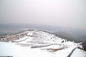 Kamera: Koralpe Steinschneider Koralpe Koralpe Steinschneider