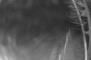 Wierchomla-Muszyna Dwie Doliny Szałas