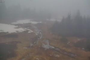 Kamera: Szrenica Ski Arena Widok na stok Szklarska Poręba Szrenica Ski Arena Widok na stok