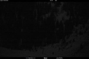 S. Martino di Castrozza / Passo Rolle S. Martino di Castrozza / Passo Rolle Tognola - Pista Scandola