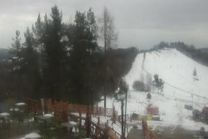 Szczawnica Palenica Widok na stok