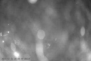 Kamera: Szelment WOSiR Wyciąg Szelment Szelment WOSiR Wyciąg