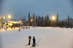 Kamera: Kotelnica Białczańska Kotelnica - widok na stok Białka Tatrzańska Kotelnica Białczańska Kotelnica - widok na stok