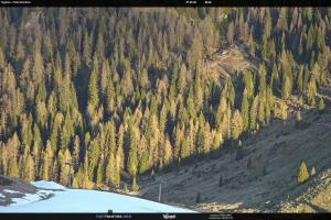 S. Martino di Castrozza / Passo Rolle S. Martino di Castrozza / Passo Rolle Tognola - Pista Scandola