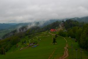 Szczawnica Palenica Szafranówka