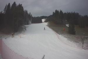 Kamera: Tylicz Ski Widok na stok Tylicz Tylicz Ski Widok na stok