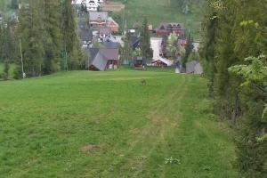 Kamera: Ski Suche U Jędrola Stacja dolna Poronin Ski Suche U Jędrola Stacja dolna