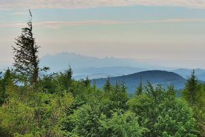 Kamera: Jaworzyna Krynicka Widok na szczyt Jaworzyny (1114 m n.p.m) Krynica Jaworzyna Krynicka Widok na szczyt Jaworzyny (1114 m n.p.m)