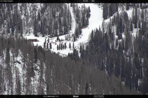 San Martino di Castrozza - Passo Rolle San Martino di Castrozza - Passo Rolle Ces - Malga Valcigolera