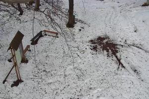 Kamera: Magura Małastowska Widok na stok Gorlice-Małastów Magura Małastowska Widok na stok