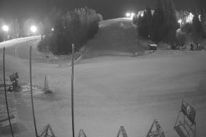 Ustrzyki Dolne Gromadzyń Dolna Stacja